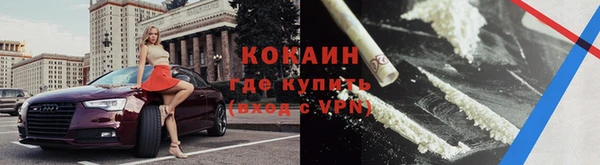 хмурый Абаза