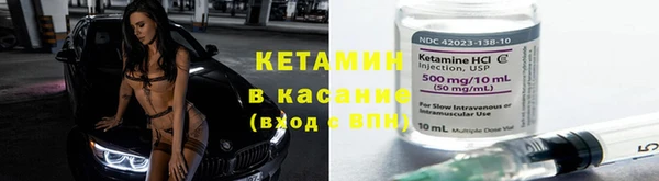 стаф Новозыбков