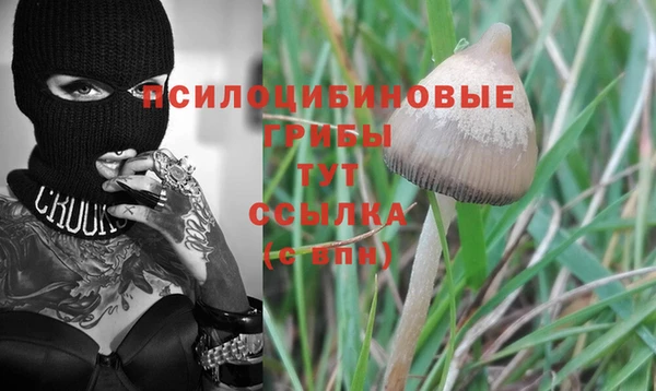 а пвп мука Абдулино