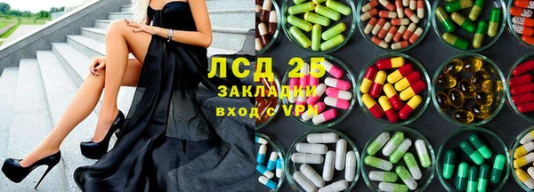 индика Новокубанск