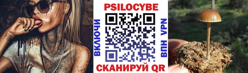 Псилоцибиновые грибы Cubensis  Челябинск 